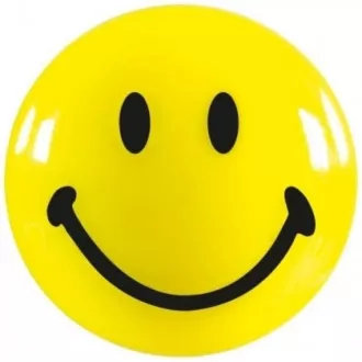 Magnete Magnetoplan Smile 30 mm (6Stk.)