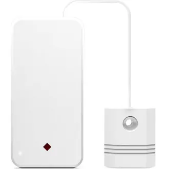 iGET P6 SECURITY Kabelloser Gasdetektor (CO, LNG, CNG, LPG), integrierte Licht- und Tonsignalisierung