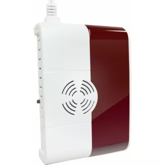 iGET P6 SECURITY Kabelloser Gasdetektor (CO, LNG, CNG, LPG), integrierte Licht- und Tonsignalisierung