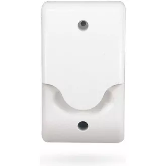 iGET P6 SECURITY Kabelloser Gasdetektor (CO, LNG, CNG, LPG), integrierte Licht- und Tonsignalisierung