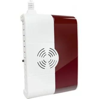 iGET P6 SECURITY Kabelloser Gasdetektor (CO, LNG, CNG, LPG), integrierte Licht- und Tonsignalisierung