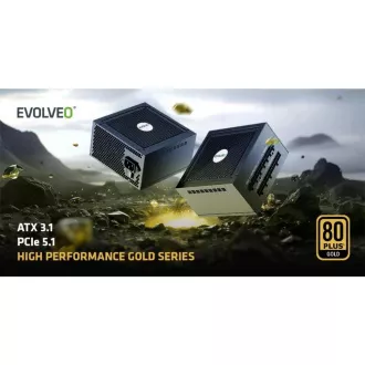 EVOLVEO G650 Netzteil 650W, 80 GOLD, ATX 3.1, aPFC, 140 mm Lüfter EVOLVEO G650 Netzteil 650W, 80 GOLD, ATX 3.1, aPFC, 140 mm Lüfter