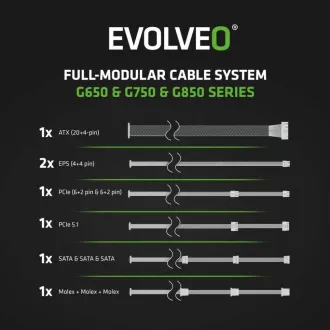 EVOLVEO G850 Netzteil 850W, 80 GOLD, ATX 3.1, aPFC, 140 mm Lüfter EVOLVEO G850 Netzteil 850W, 80 GOLD, ATX 3.1, aPFC, 140 mm Lüfter