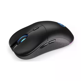 Endorfy Maus GEM Plus Wireless PAW3395 / Khail GM 8.0 / drahtlos / schwarz