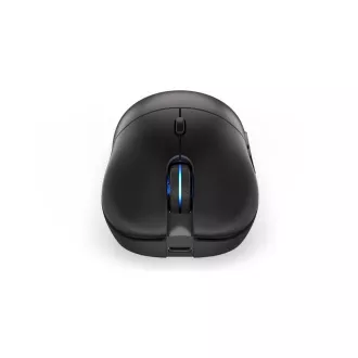 Endorfy Maus GEM Plus Wireless PAW3395 / Khail GM 8.0 / drahtlos / schwarz