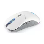 Endorfy Maus GEM Plus Wireless OWH PAW3395 / Khail GM 8.0 / kabellos / weiß