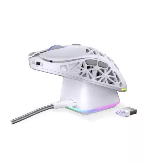 Endorfy Gaming Maus LIV Plus Wireless Onyx Weiß, Drahtlos, ARGB, Weiß Endorfy Gaming Maus LIV Plus Wireless Onyx Weiß, Drahtlos, ARGB, Weiß
