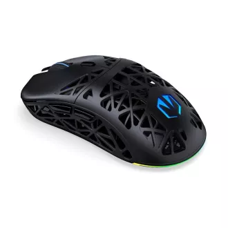 Endorfy Gaming Maus LIV Wireless, Drahtlos, ARGB, Schwarz Endorfy Gaming Maus LIV Wireless, Drahtlos, ARGB, Schwarz