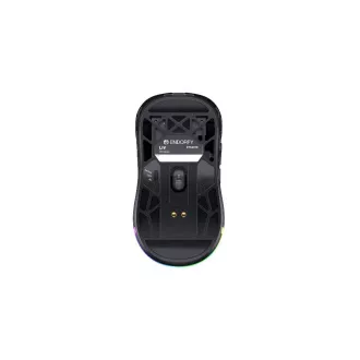 Endorfy Gaming Maus LIV Wireless, Drahtlos, ARGB, Schwarz Endorfy Gaming Maus LIV Wireless, Drahtlos, ARGB, Schwarz