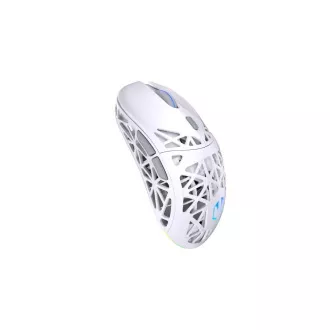 Endorfy Gaming Maus LIV Wireless Onyx Weiß, Drahtlos, ARGB, Weiß Endorfy Gaming Maus LIV Wireless Onyx Weiß, Drahtlos, ARGB, Weiß