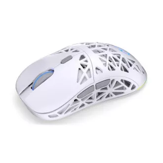 Endorfy Gaming Maus LIV Wireless Onyx Weiß, Drahtlos, ARGB, Weiß Endorfy Gaming Maus LIV Wireless Onyx Weiß, Drahtlos, ARGB, Weiß