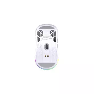 Endorfy Gaming Maus LIV Wireless Onyx Weiß, Drahtlos, ARGB, Weiß Endorfy Gaming Maus LIV Wireless Onyx Weiß, Drahtlos, ARGB, Weiß
