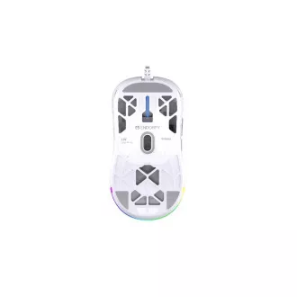 Endorfy Gaming Maus LIV Onyx Weiß, verkabelt, ARGB, Weiß Endorfy Gaming Maus LIV Onyx Weiß, verkabelt, ARGB, Weiß