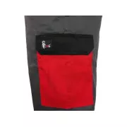 Hose CXS PHOENIX CEFEUS, grau-rot, Gr. 50
