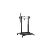 Optoma IFPD RISE 5105 MOTORISIERTER DISPLAY-LIFT-BODENSTAND 50 B EU