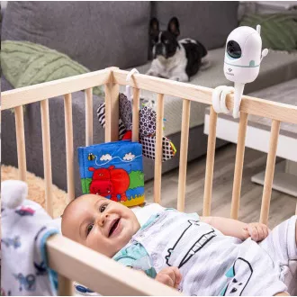 TrueLife NannyCam-Halterung