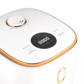 Lauben Multifunktions-Reiskocher 1200WR Rose Gold Edition - Reiskocher Lauben Multifunktions-Reiskocher 1200WR Rose Gold Edition - Reiskocher