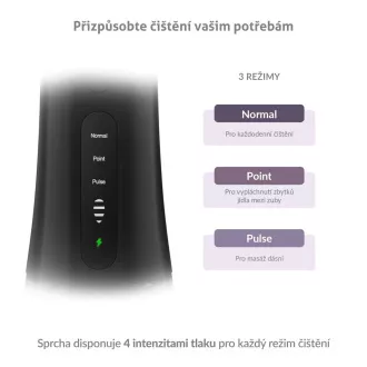TrueLife AquaFloss Compact L100 Schwarz Munddusche