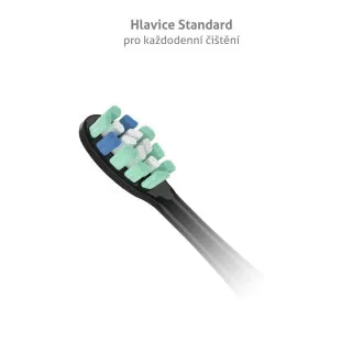 TrueLife SonicBrush Clean-Serie Bürstenköpfe, Standard, schwarz, 8er-Pack