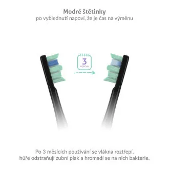 TrueLife SonicBrush Clean-Serie Bürstenköpfe, Standard, schwarz, 8er-Pack