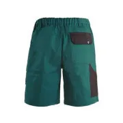 CXS LUXY TOMÁŠ Shorts, Herren, grün-schwarz, Gr. 58