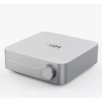 WiiM Amp Dunkelgrau WiiM Amp Dunkelgrau