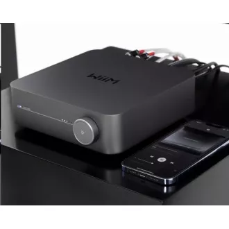 WiiM Amp Dunkelgrau WiiM Amp Dunkelgrau