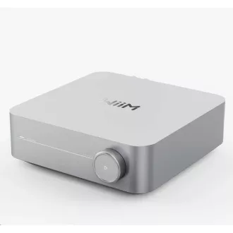 WiiM Amp Silber WiiM Amp Silber