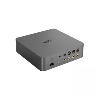 WiiM Vibelink Verstärker - Grau WiiM Vibelink Verstärker - Grau