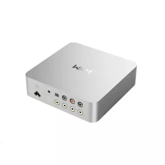 WiiM Vibelink Verstärker - Silber WiiM Vibelink Verstärker - Silber