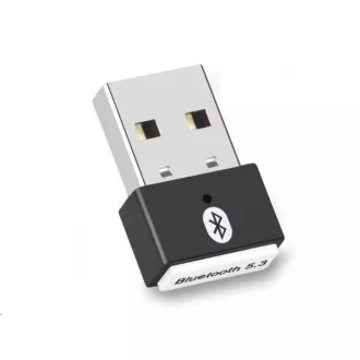 WG - Mini Bluetooth 5.3 Adapter WG - Mini Bluetooth 5.3 Adapter