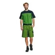 STANMORE Shorts grün / schwarz 48