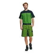 STANMORE Shorts grün / schwarz 52