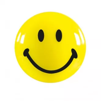 Magnete Magnetoplan Smile 30 mm (6Stk.)