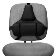 Fellowes Professional-Rückenlehne