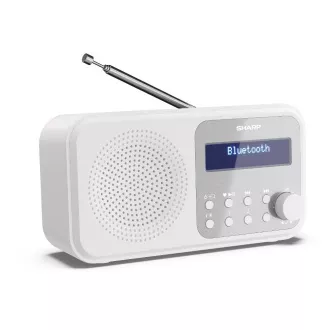 DR-P420WH FM/DAB RADIOEMPFÄNGER SCHARF