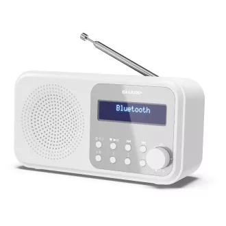 DR-P420WH FM/DAB RADIOEMPFÄNGER SCHARF