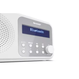 DR-P420WH FM/DAB RADIOEMPFÄNGER SCHARF