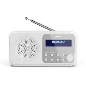 DR-P420WH FM/DAB RADIOEMPFÄNGER SCHARF