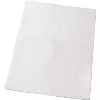 EF54 FILTER (900084305) ELECTROLUX EF54 FILTER (900084305) ELECTROLUX