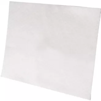 EF1 MOTORFILTER (900034312) ELECTROLUX EF1 MOTORFILTER (900034312) ELECTROLUX