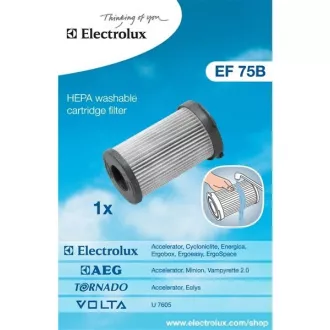 EF75B ZYKLONFILTER(900195949) ELECTROLUX EF75B ZYKLONFILTER(900195949) ELECTROLUX