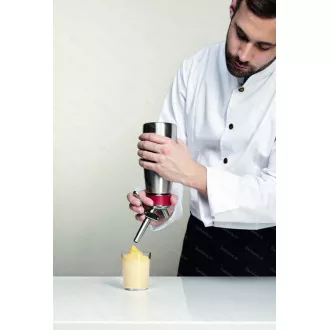 GOURMET WHIP PLUS MINI MIT QUIRL FLASCHE ISI
