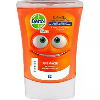 NT REFILL VANILLA 250ml Nachfüllpackung DETTOL