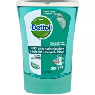 NT REFILL ALOE VERA 250ml Nachfüllpackung DETTOL