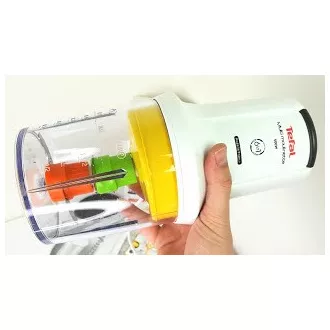 MQ723138 TEFAL ZERHACKER