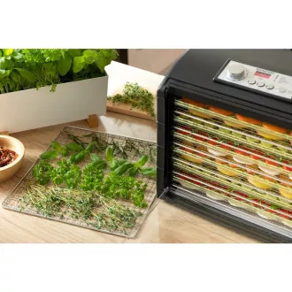 SFD 6601BK SENCOR Fruchttrockner