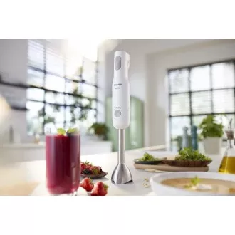 HR2546/00 PHILIPS STABMIXER