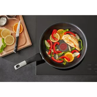 G2550272 UNLIMITED PAN 20 cm TEFAL G2550272 UNLIMITED PAN 20 cm TEFAL