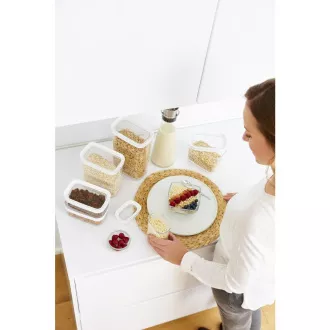 N1141210 OPTIMA BOX 2,2 L TEFAL